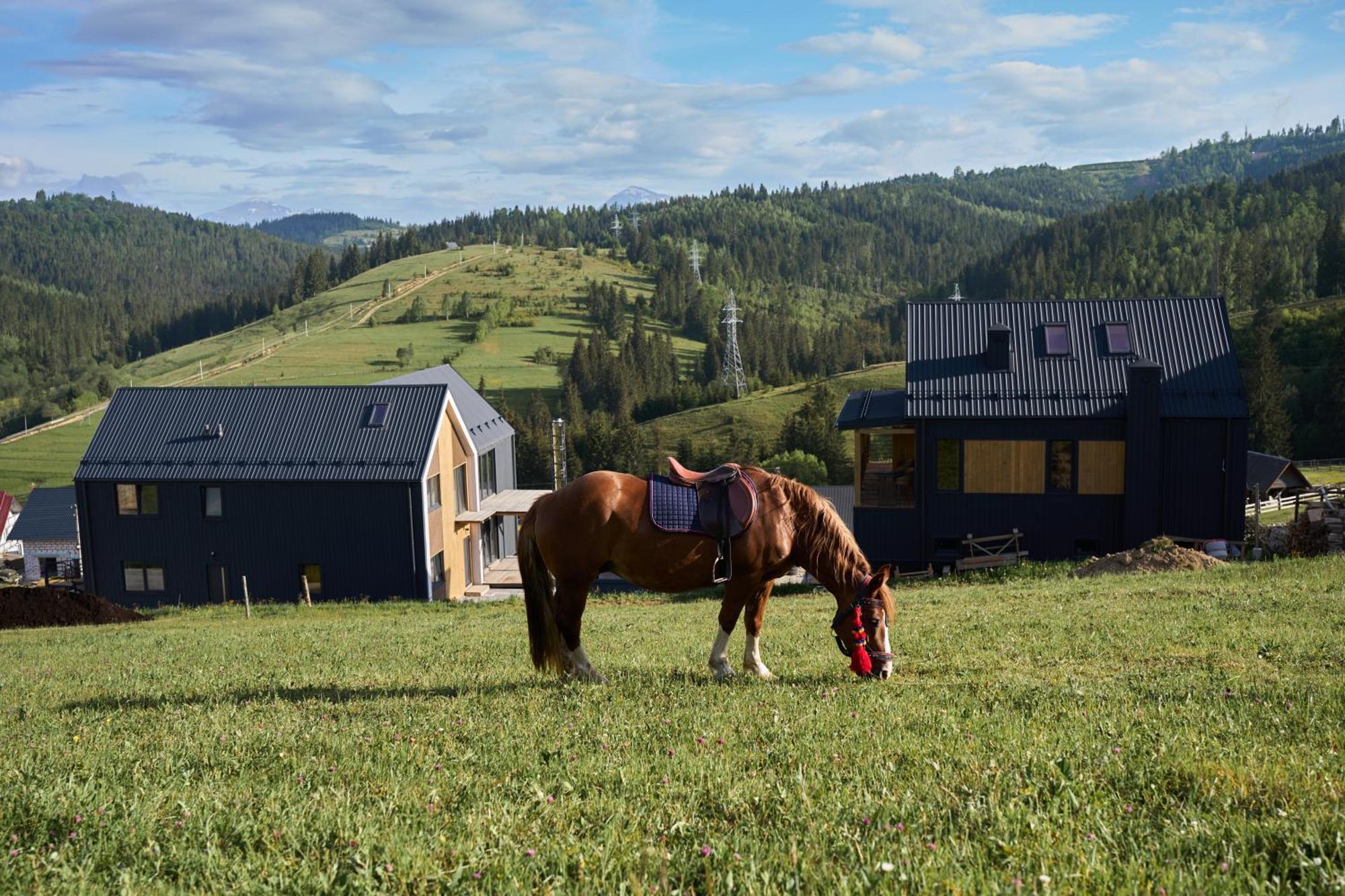 Шале Green Land Bukoveľ Exteriér fotografie