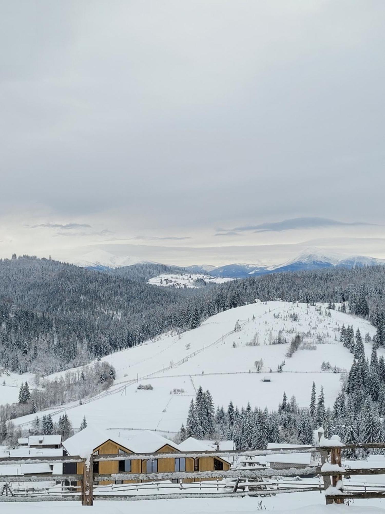 Шале Green Land Bukoveľ Exteriér fotografie