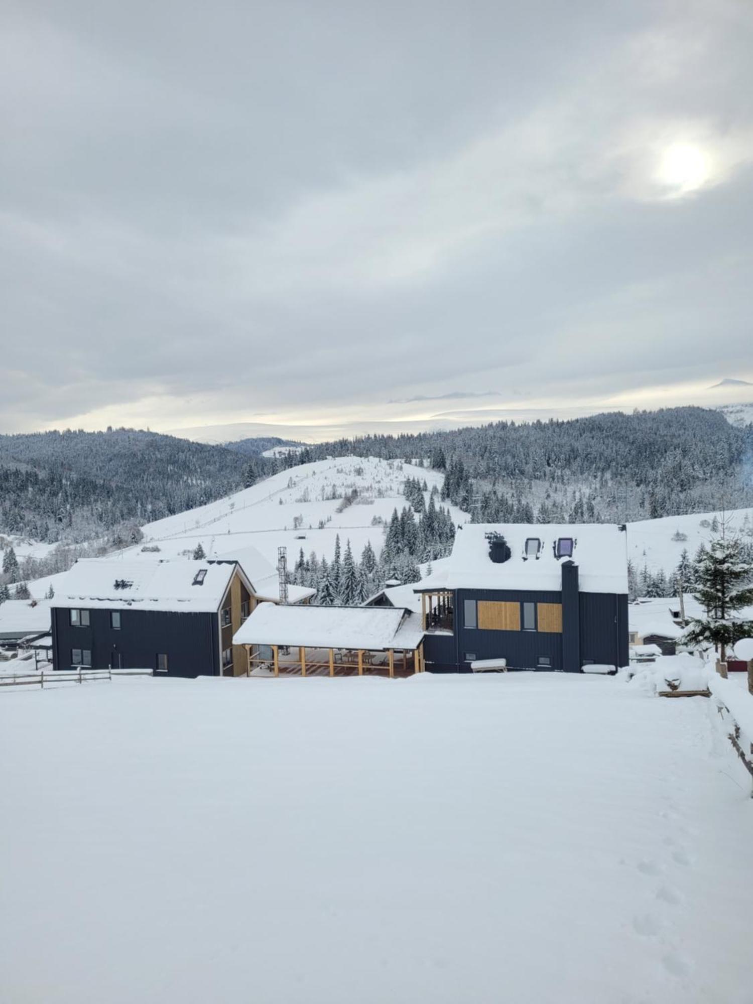 Шале Green Land Bukoveľ Exteriér fotografie